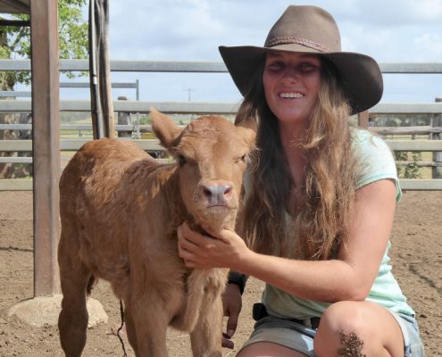 "Montana", eines meiner kleinen Kälber Eines meiner kleinen Kälber "Montana" und ich