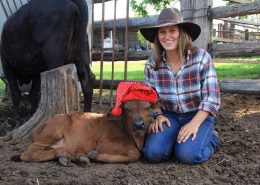 "Twist" - das Weihnachtskalb "Twist" - das Weihnachtskalb