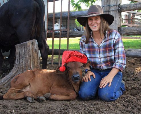 "Twist" - das Weihnachtskalb "Twist" - das Weihnachtskalb