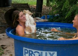 Überleben im Futtertrog bei 45° Celsius Überleben im Futtertrog bei 45° Celsius