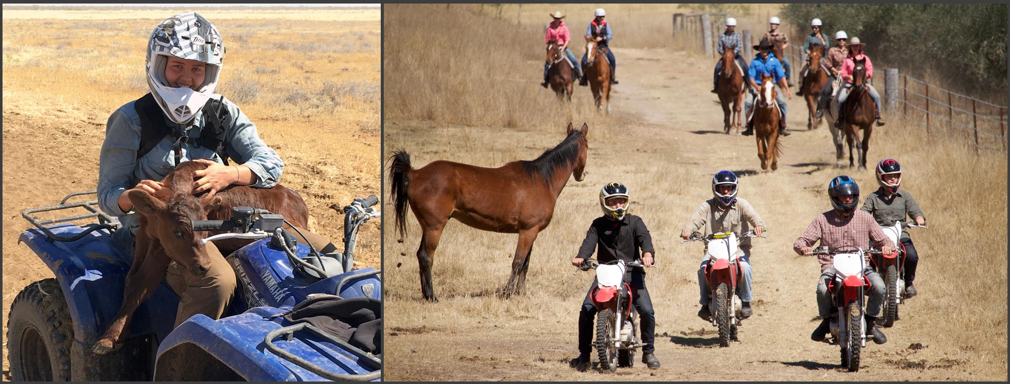 Farmwork and Travel Australien Farmwork and Travel Australien