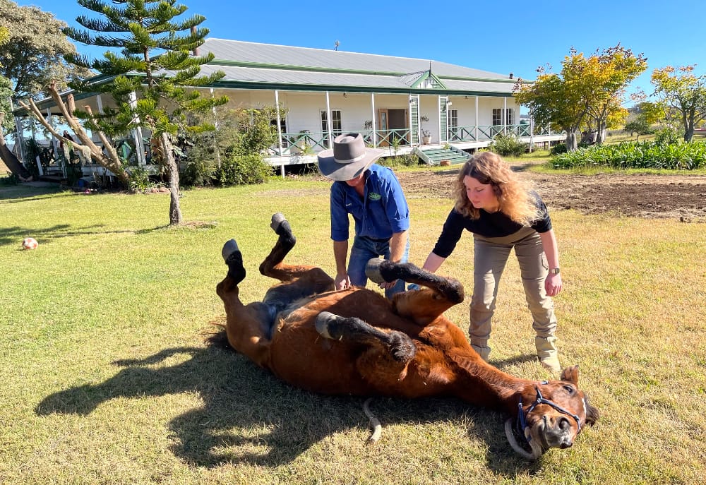 Die Trainingsfarm Die Trainingsfarm
